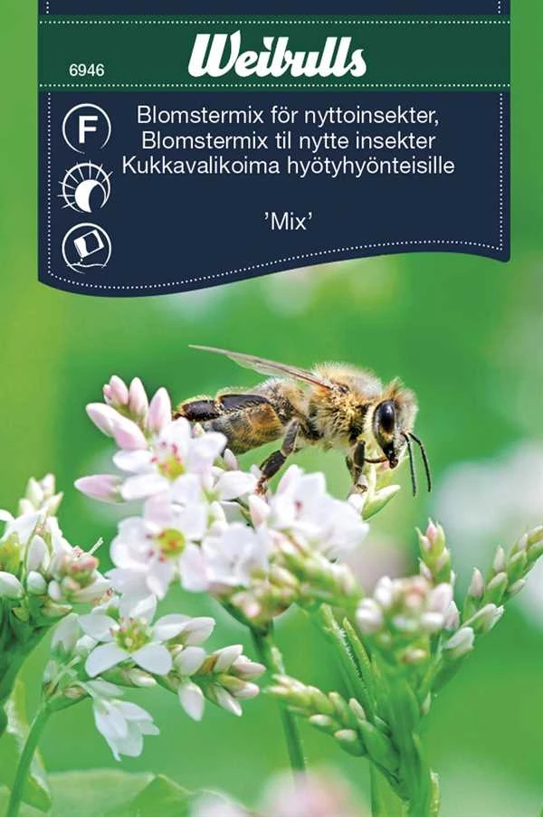 Blomstermix Til Insekter 1 Blomstermix Til Insekter