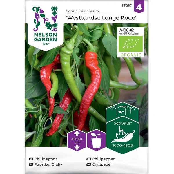 Chilipeber 'Westlandse Lange Rode' 1 Chilipeber 'Westlandse Lange Rode'