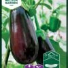 Aubergine