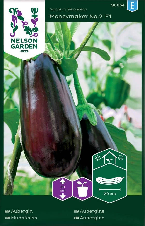 Aubergine 1 Aubergine