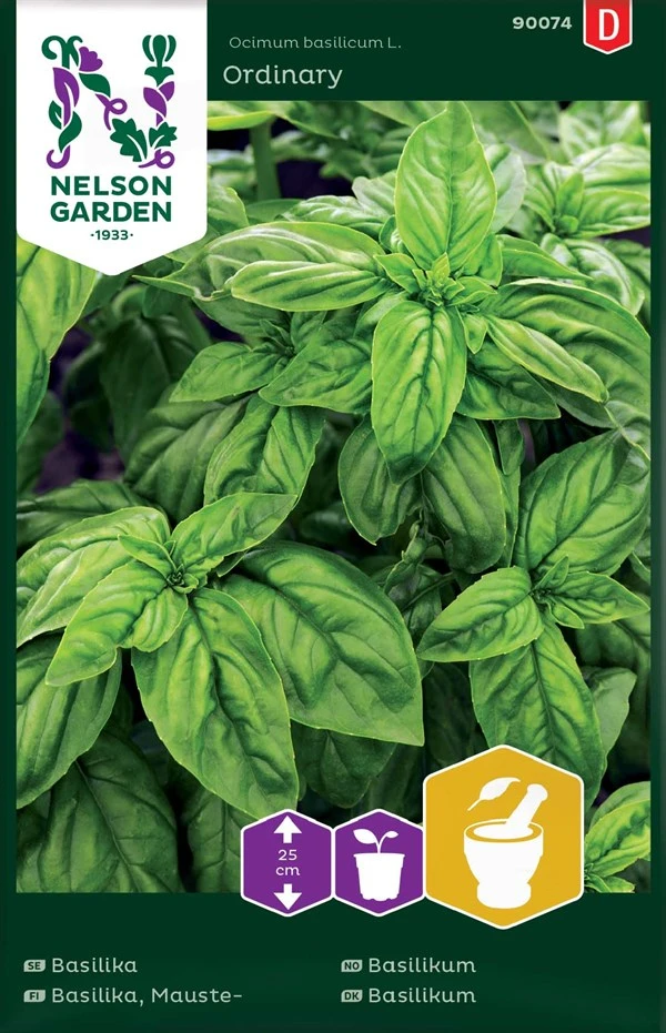 Basilikum 1 Basilikum