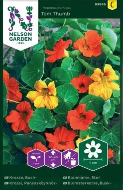 Buskblomsterkarse, Tom Thumb, Bland.