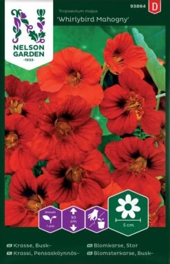 Buskblomsterkarse, Whirlybird Mahogny