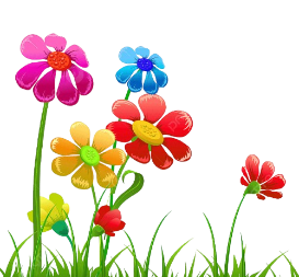 Frø sortiment Butik